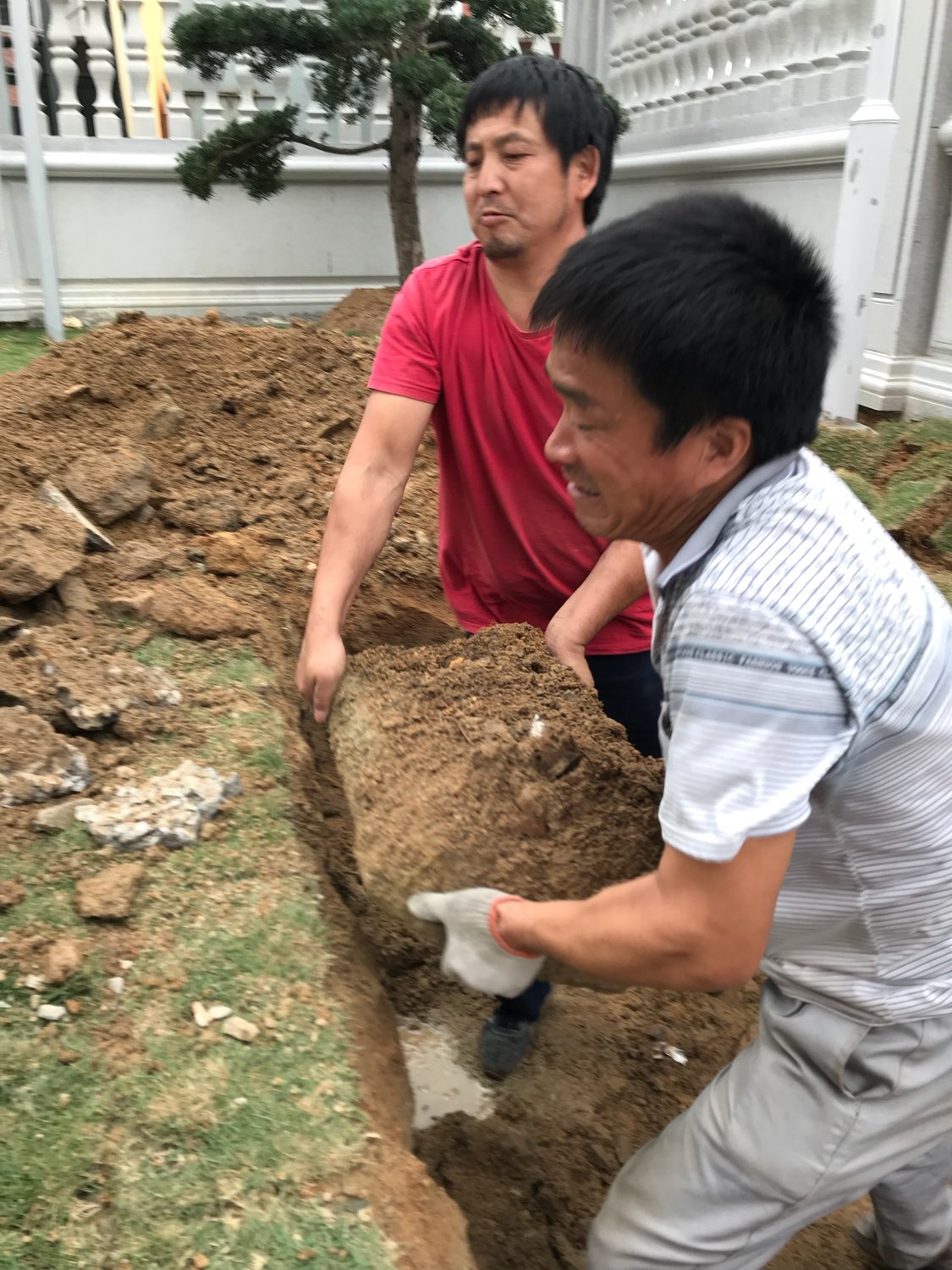 梦见池子里的鱼和水突然没了，探索梦境背后的深层含义