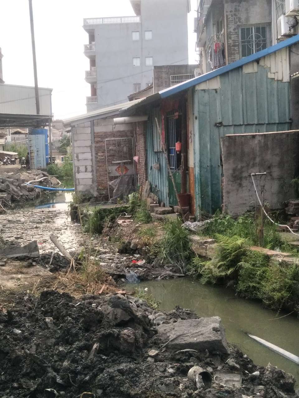 莆田市荔城区黄石镇西洪村