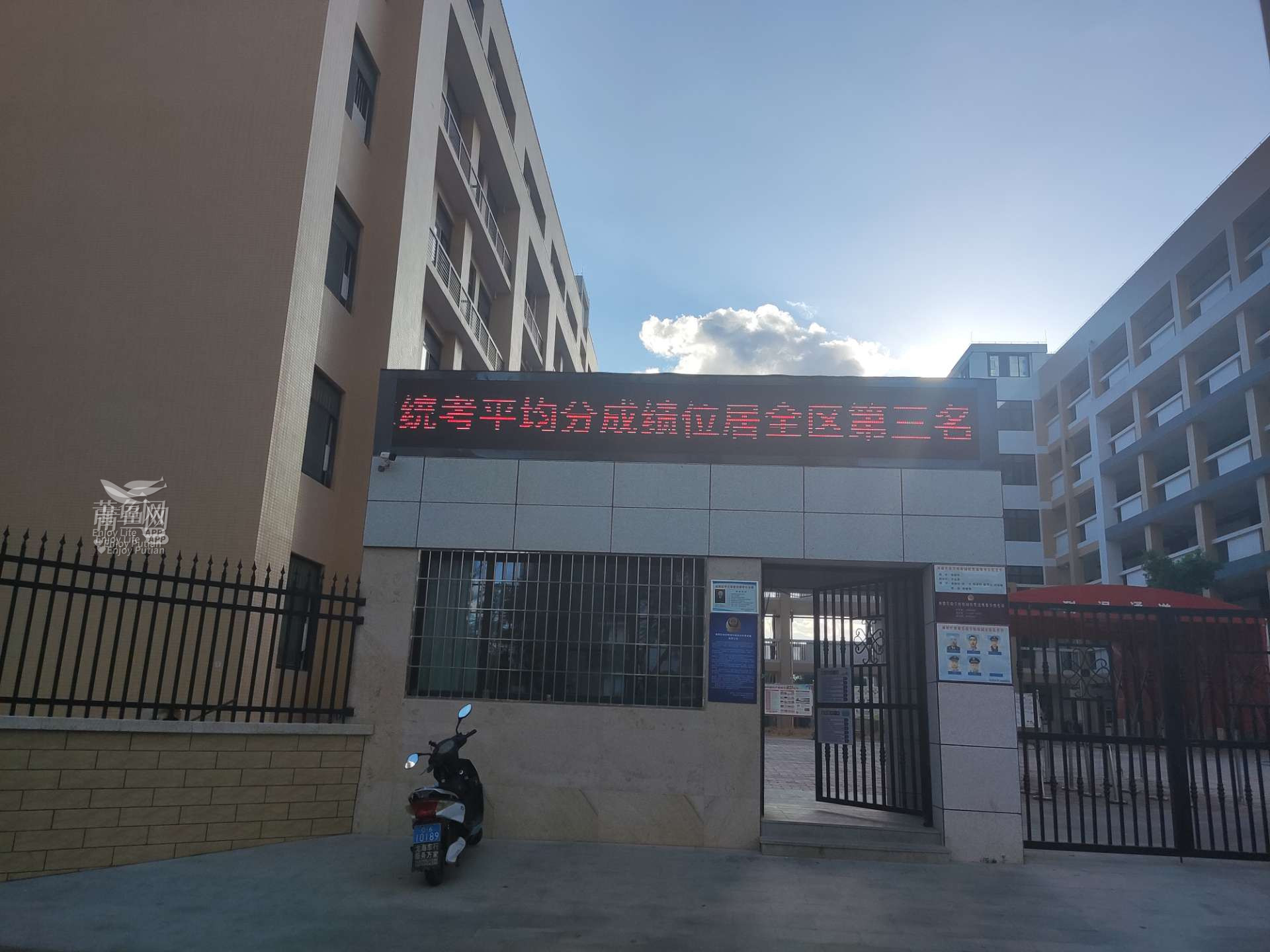 来自莆田小阿冒的鱼油圈