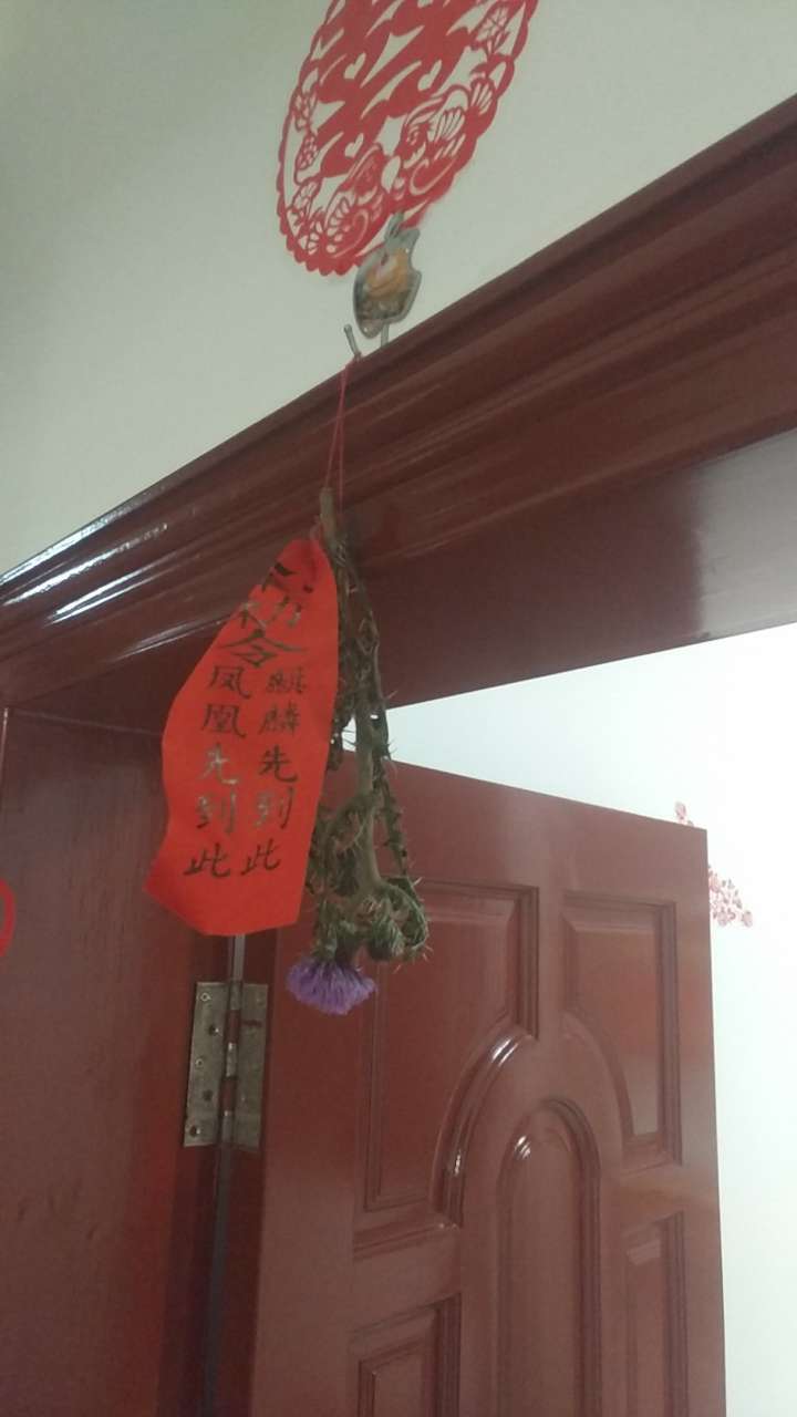 入门口和新房门口挂凤凰,麒麟到此和芦荟,刺花