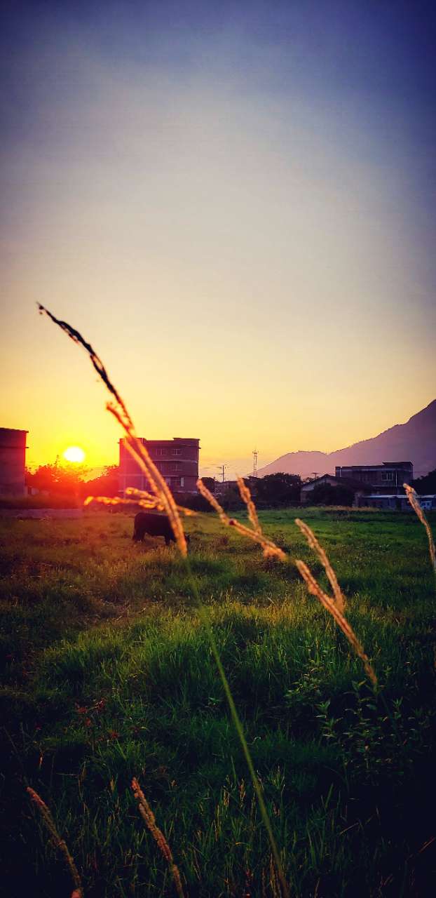 [原创] 茫茫人海何时能遇见你
