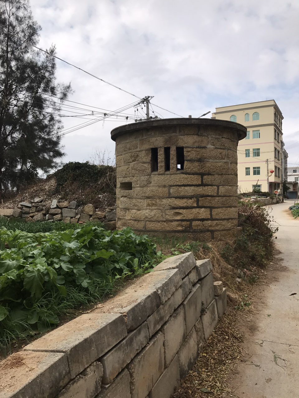 莆禧古城吹的瑟瑟发抖