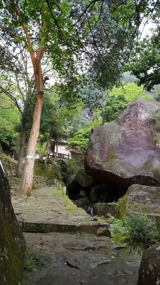 仙游菜溪岩风景介绍图片