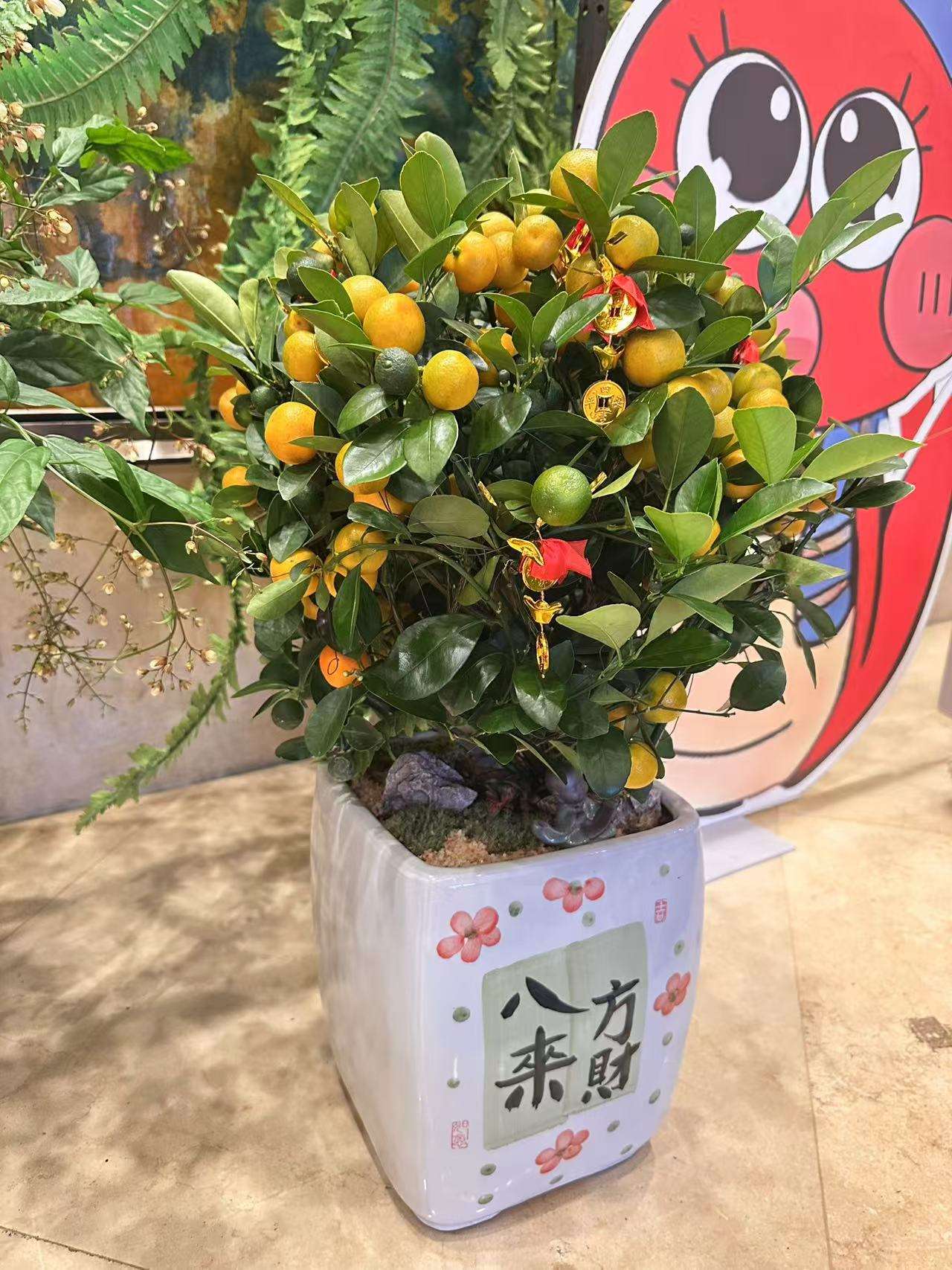 莆鱼集市