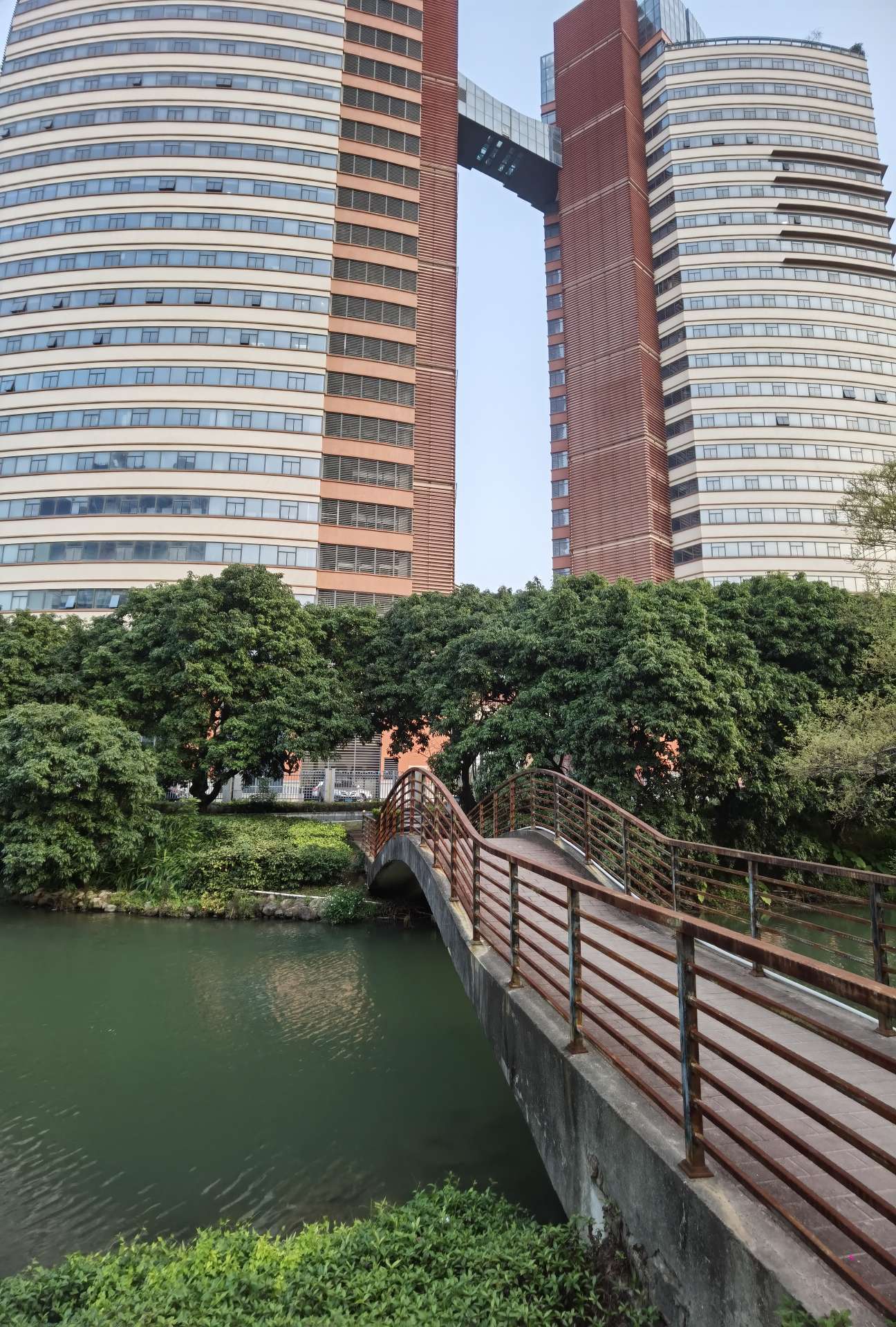 莆鱼集市