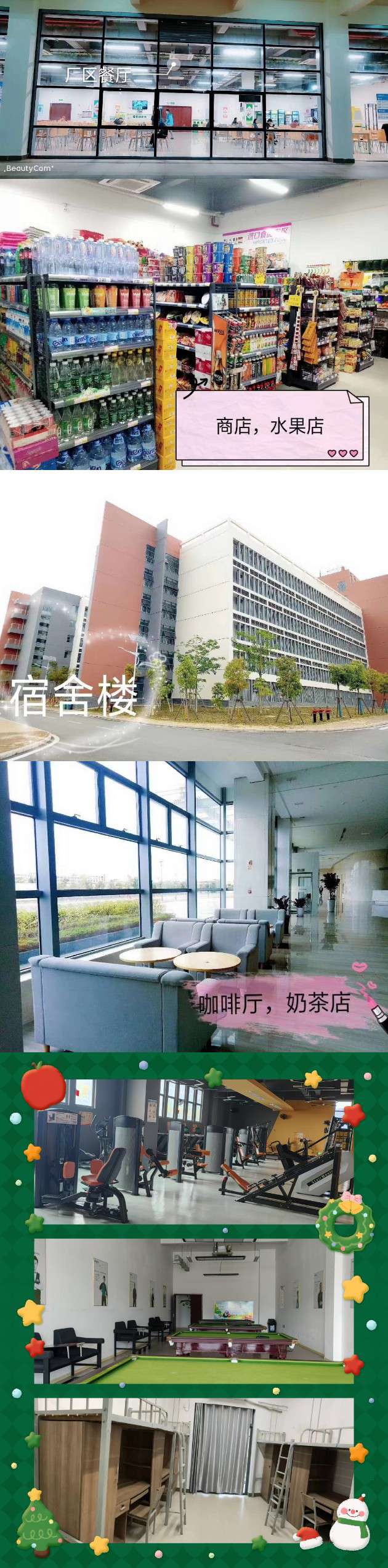 莆鱼集市