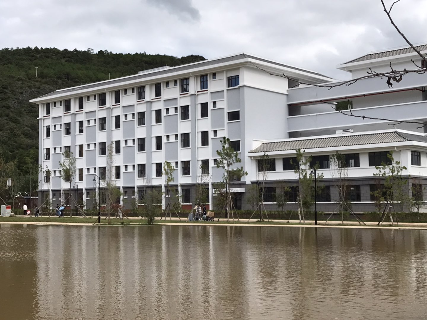 莆鱼集市