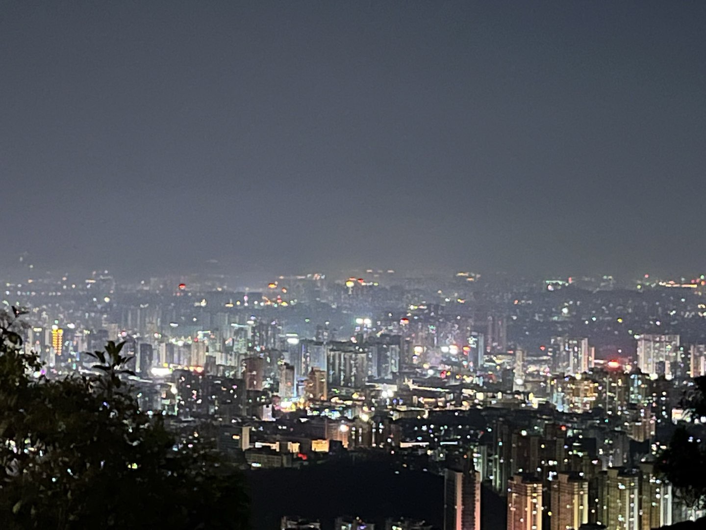 莆鱼集市