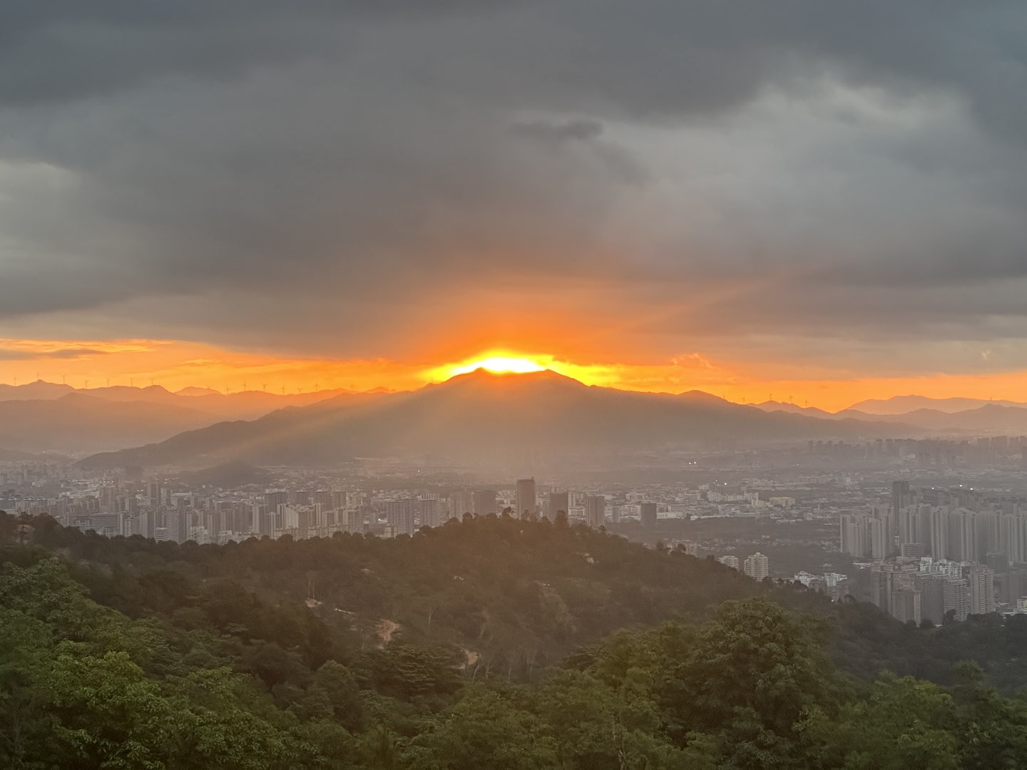 莆鱼集市