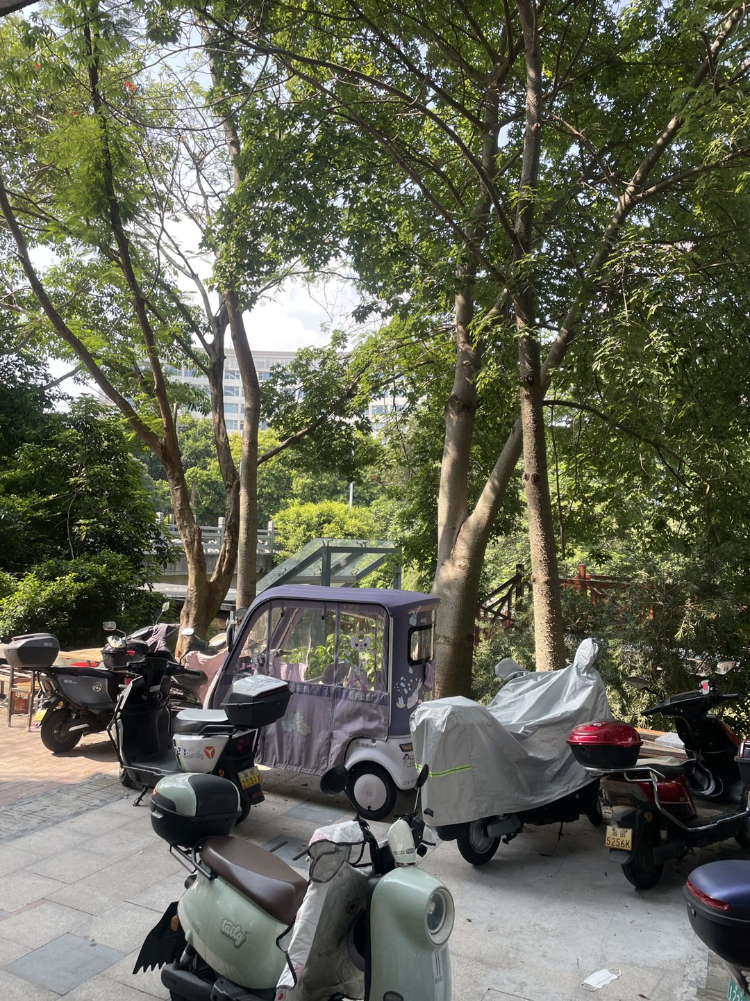 莆鱼集市