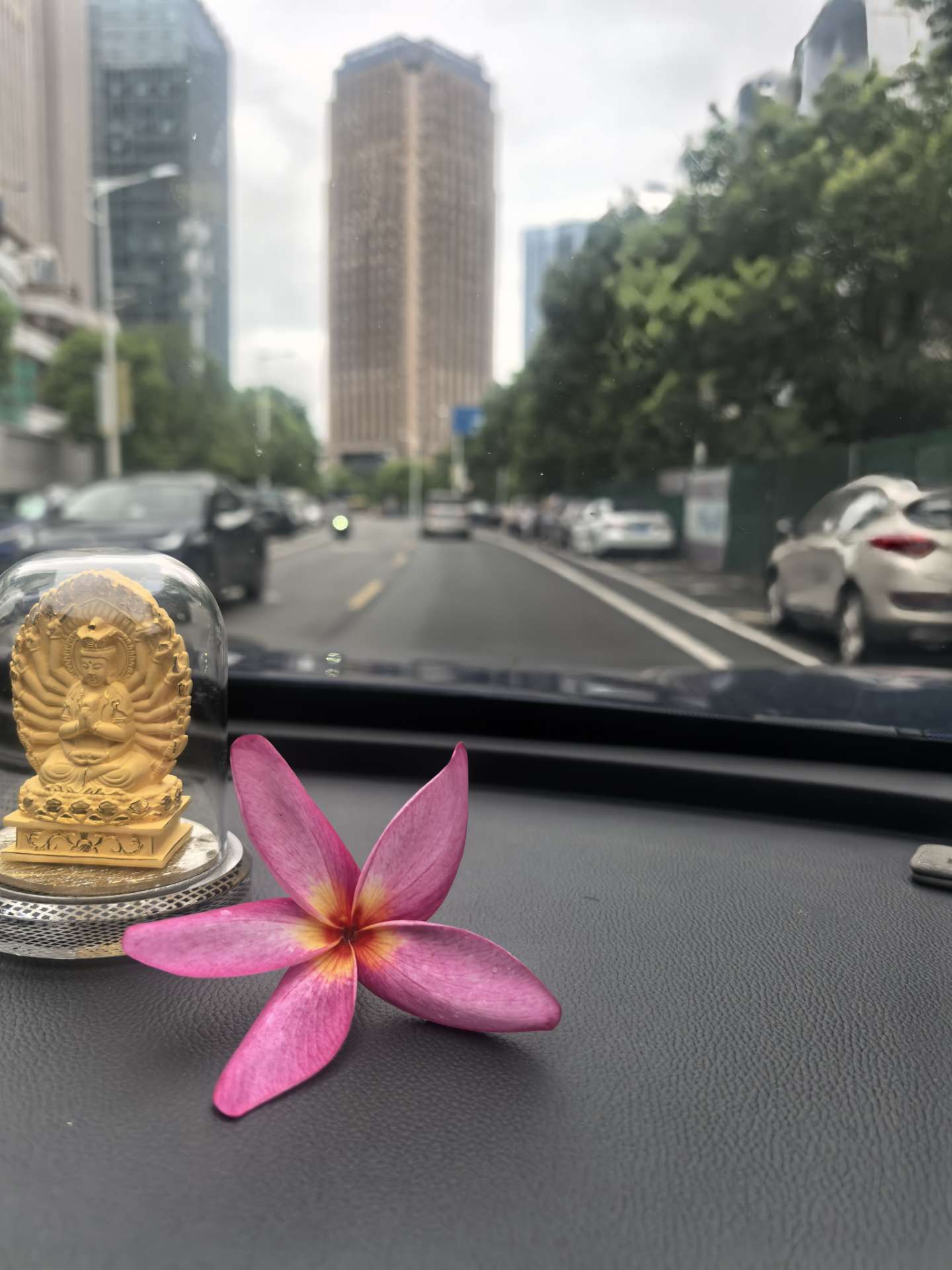 莆鱼集市
