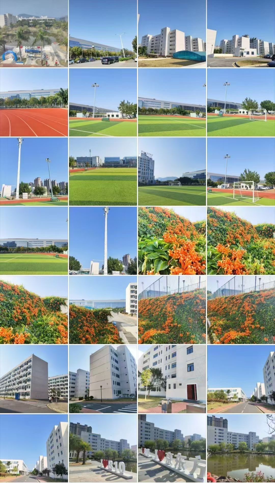 莆鱼集市