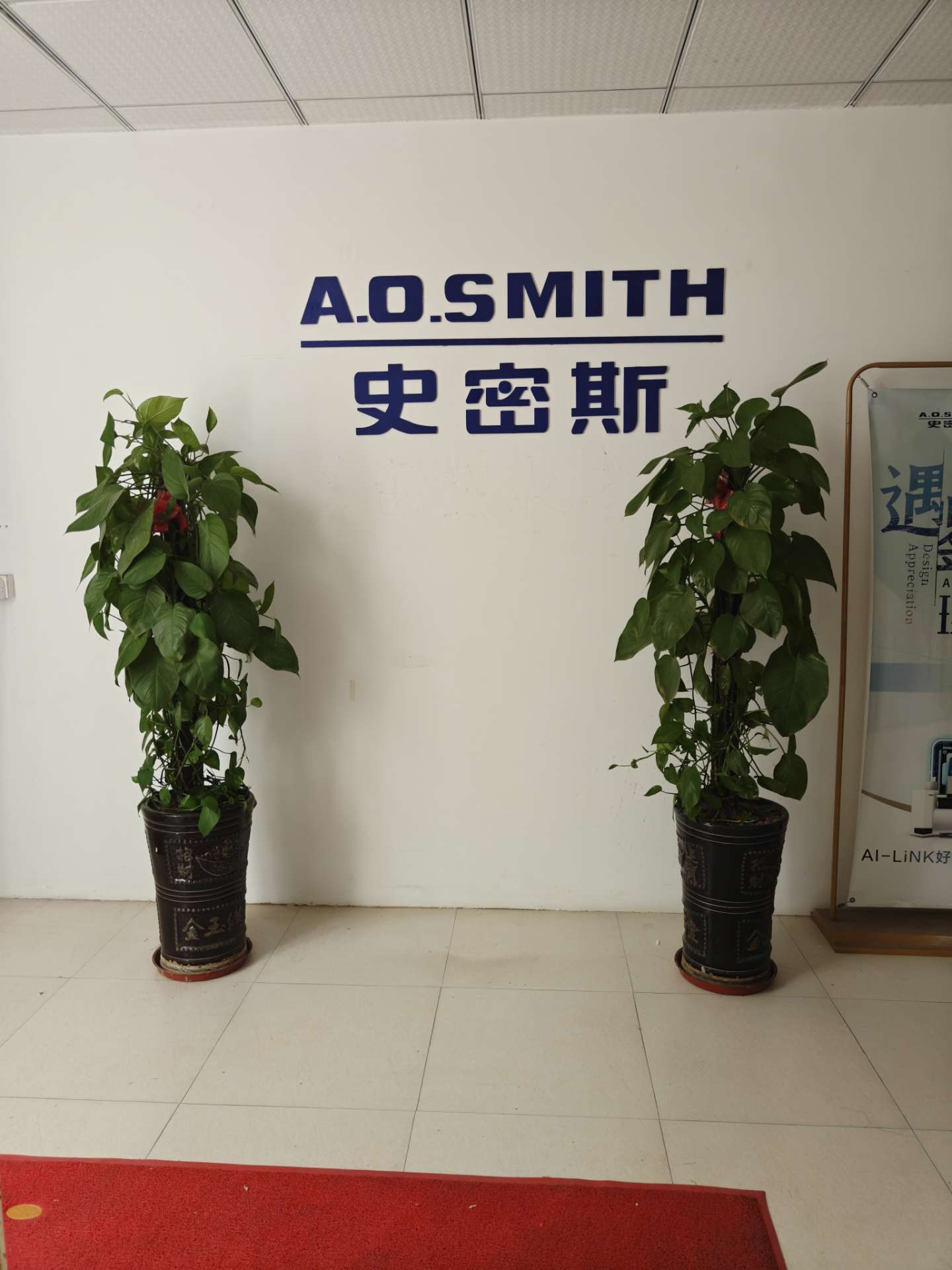 莆鱼集市