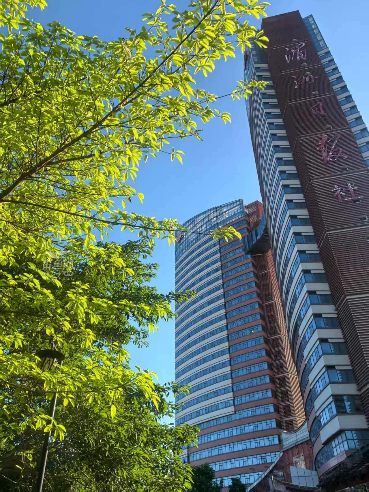 莆鱼集市