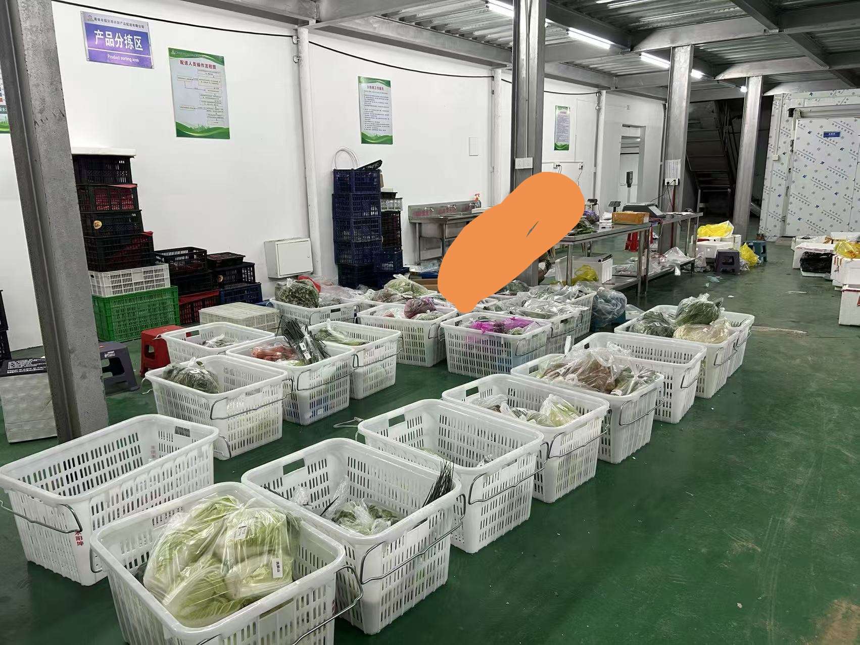 莆鱼集市