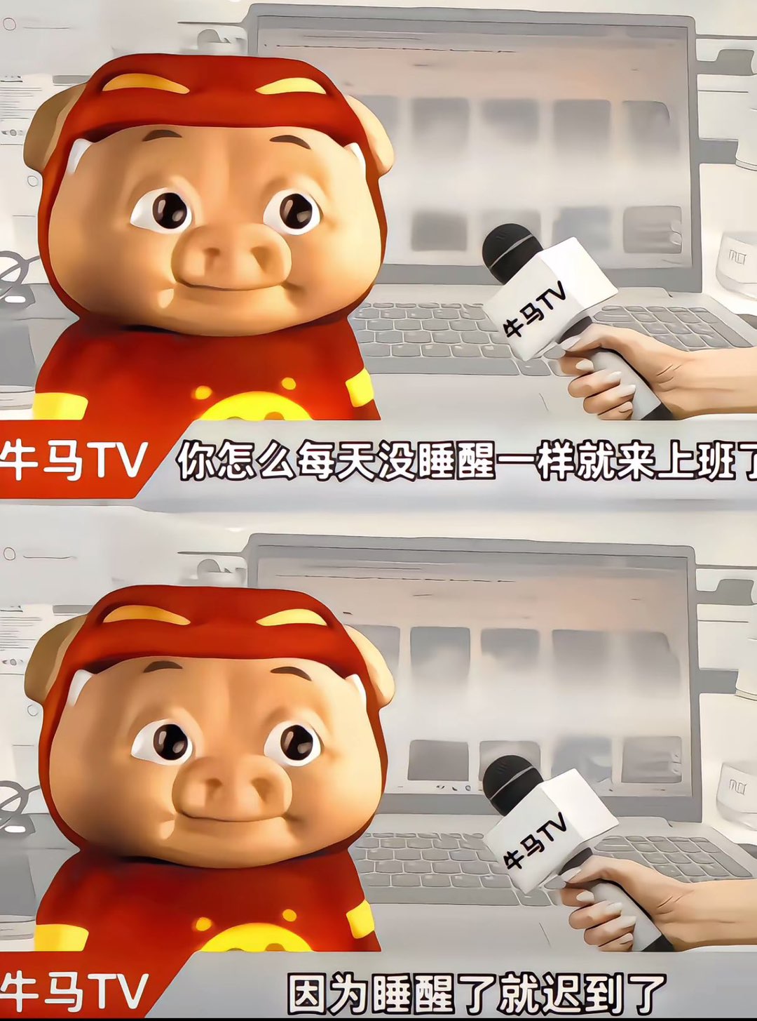 莆鱼集市
