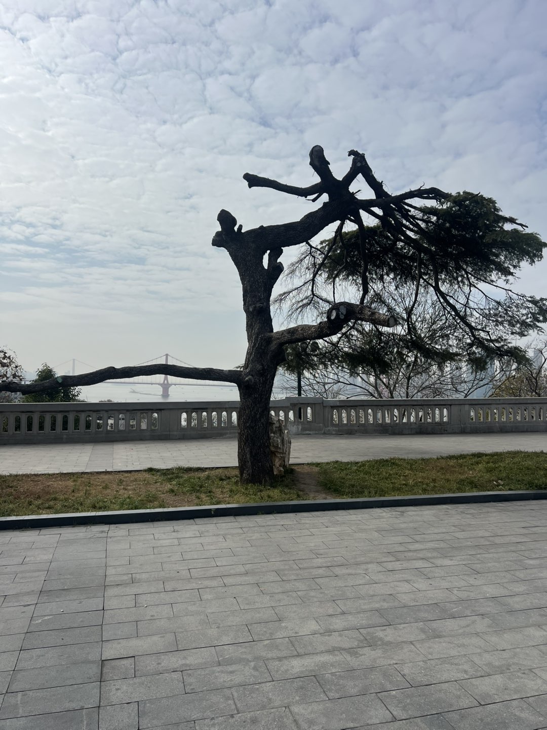 莆鱼集市