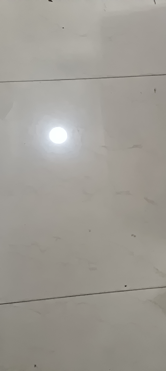 莆鱼集市