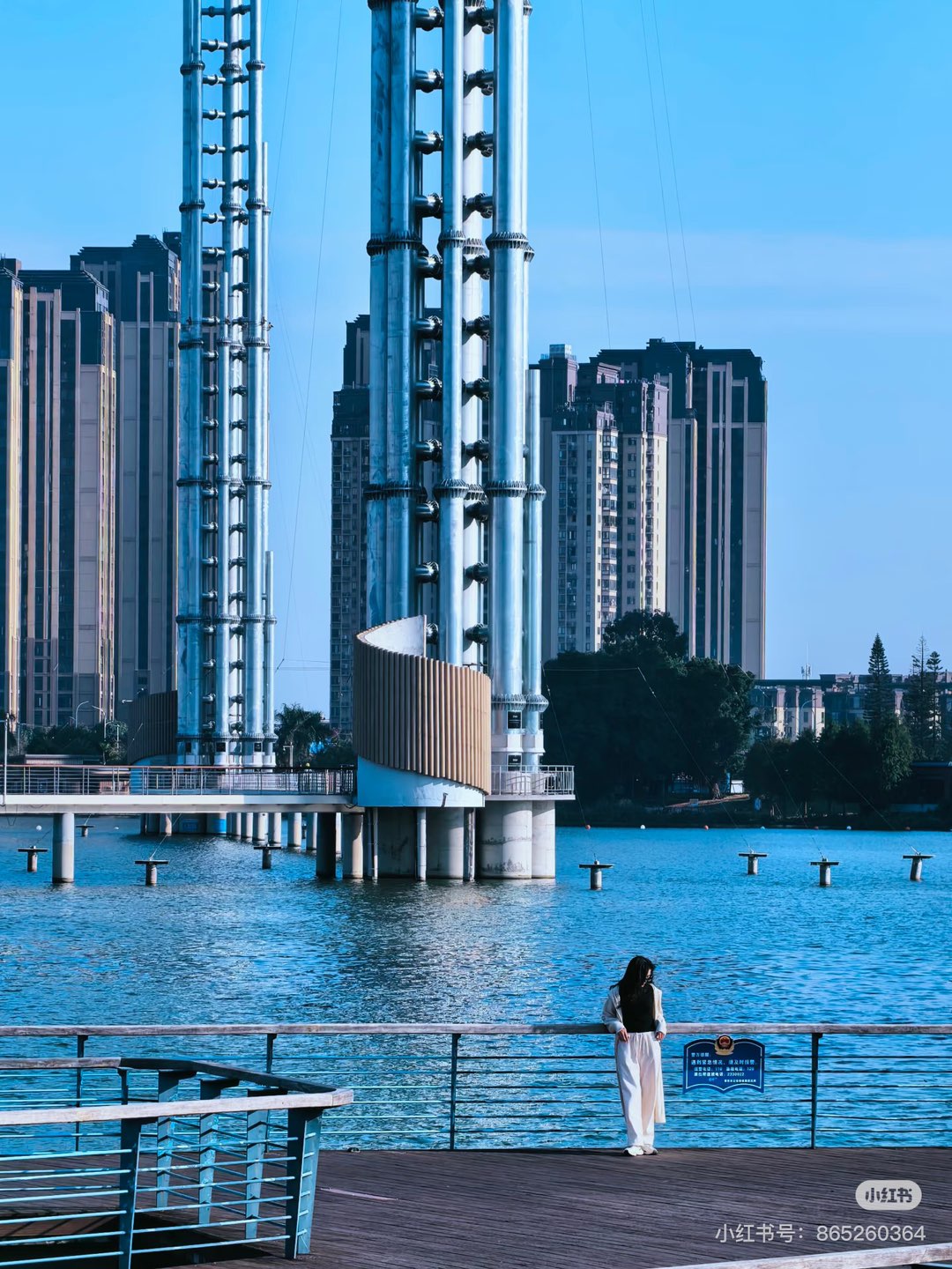 莆鱼集市