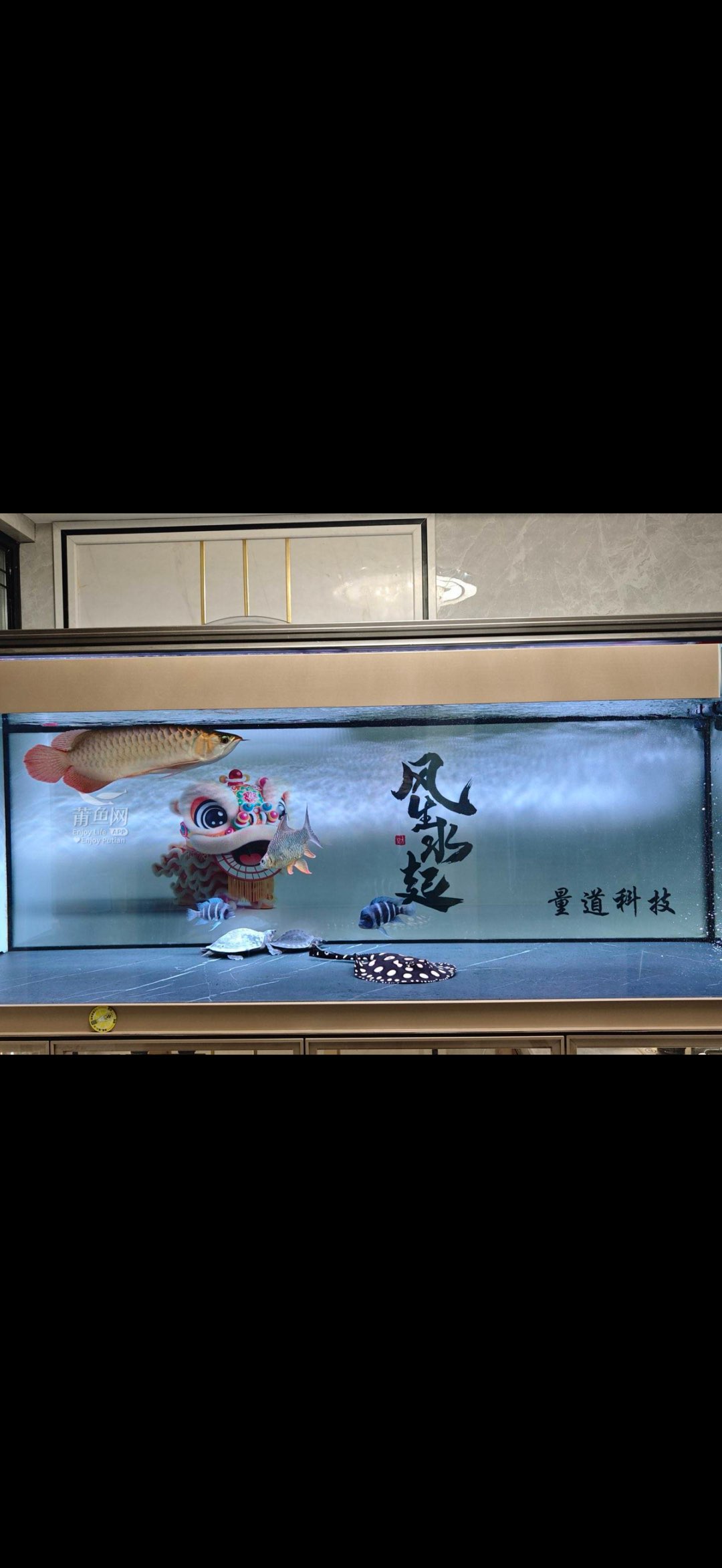 莆鱼集市
