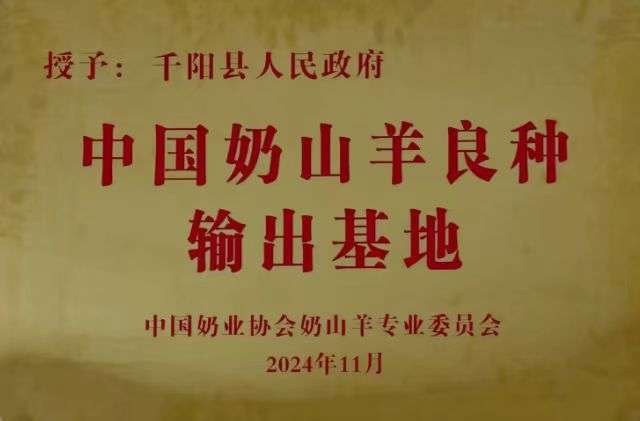 莆鱼集市