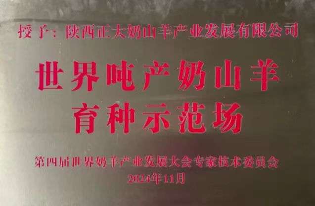 莆鱼集市