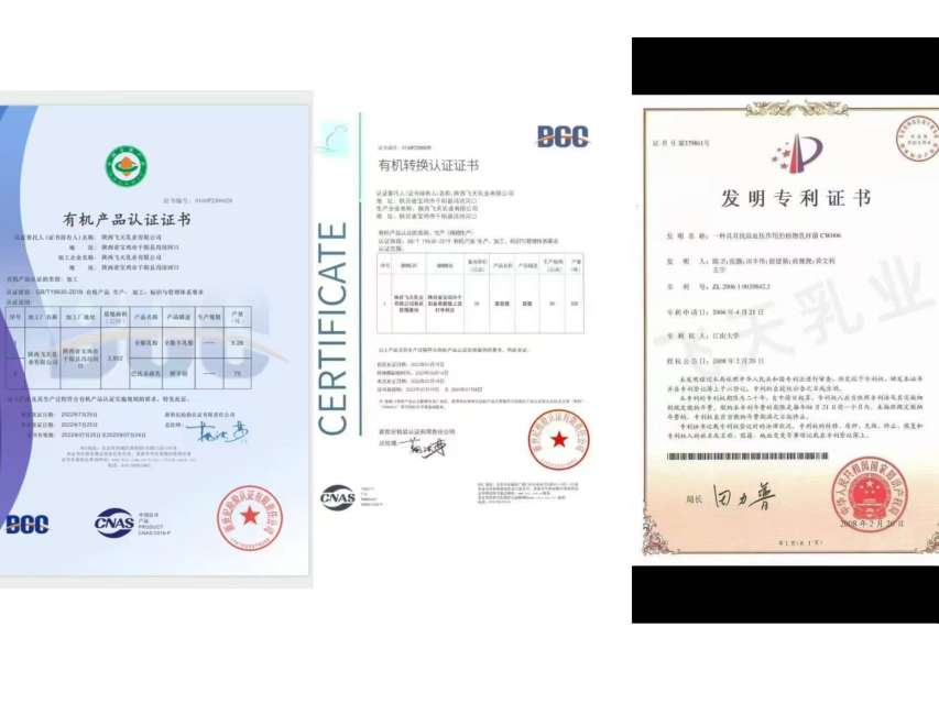 莆鱼集市