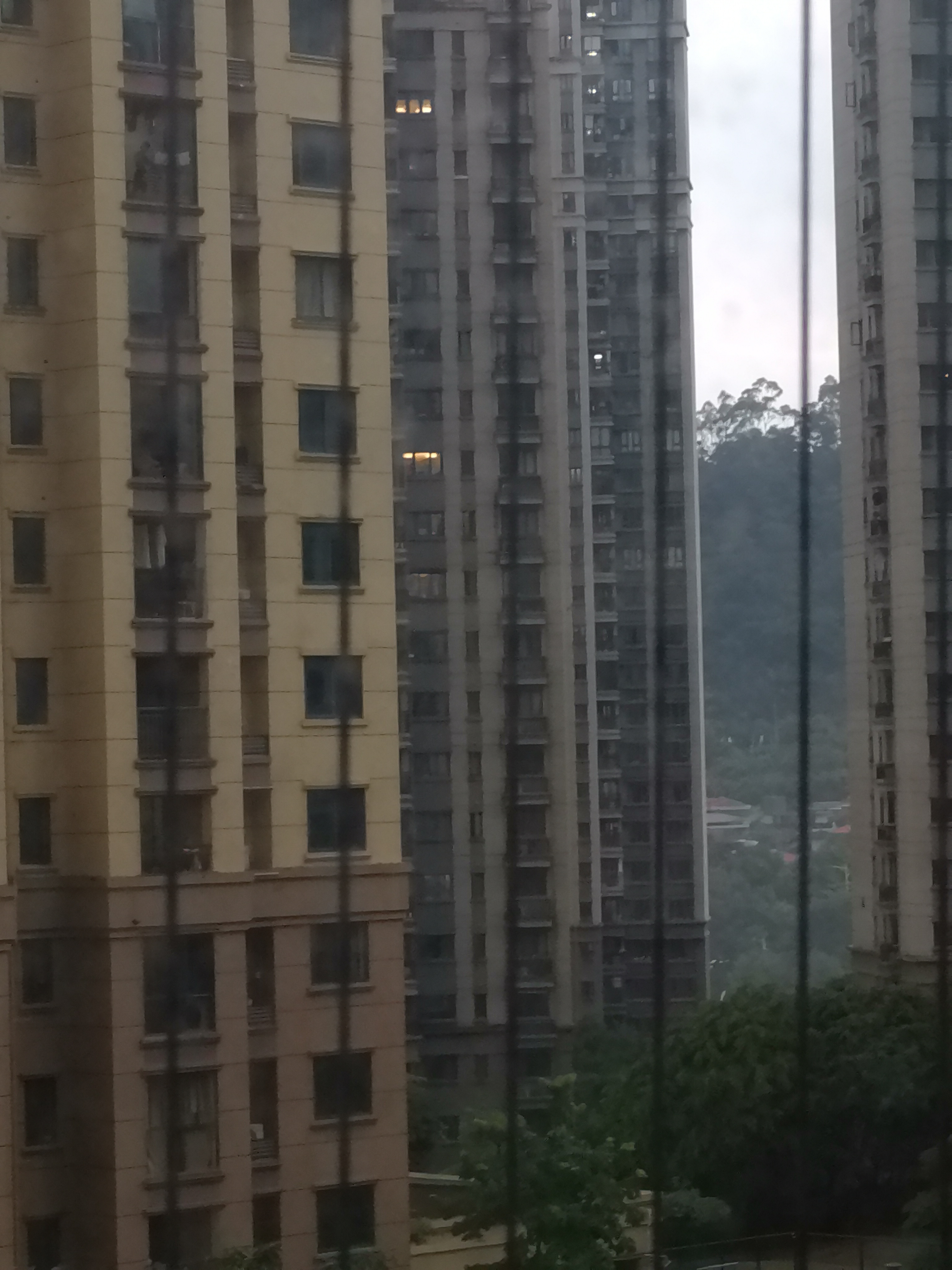 莆鱼集市