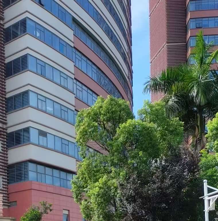 莆鱼集市