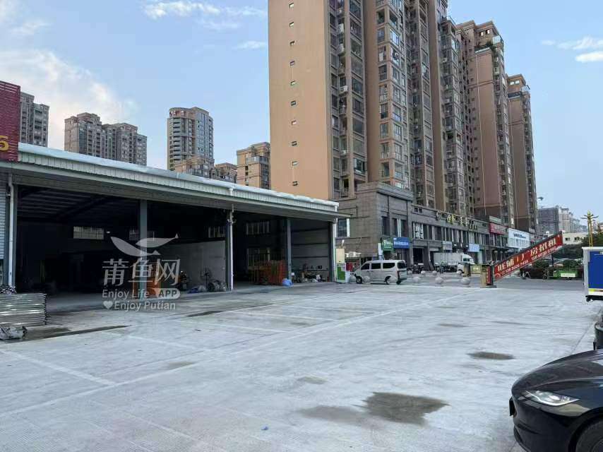 莆鱼集市