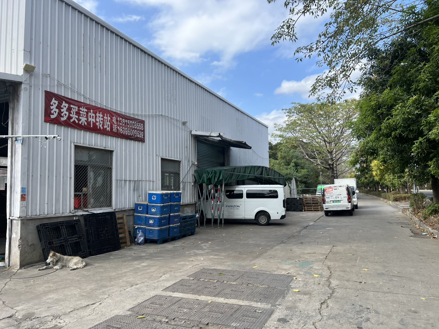 莆鱼集市