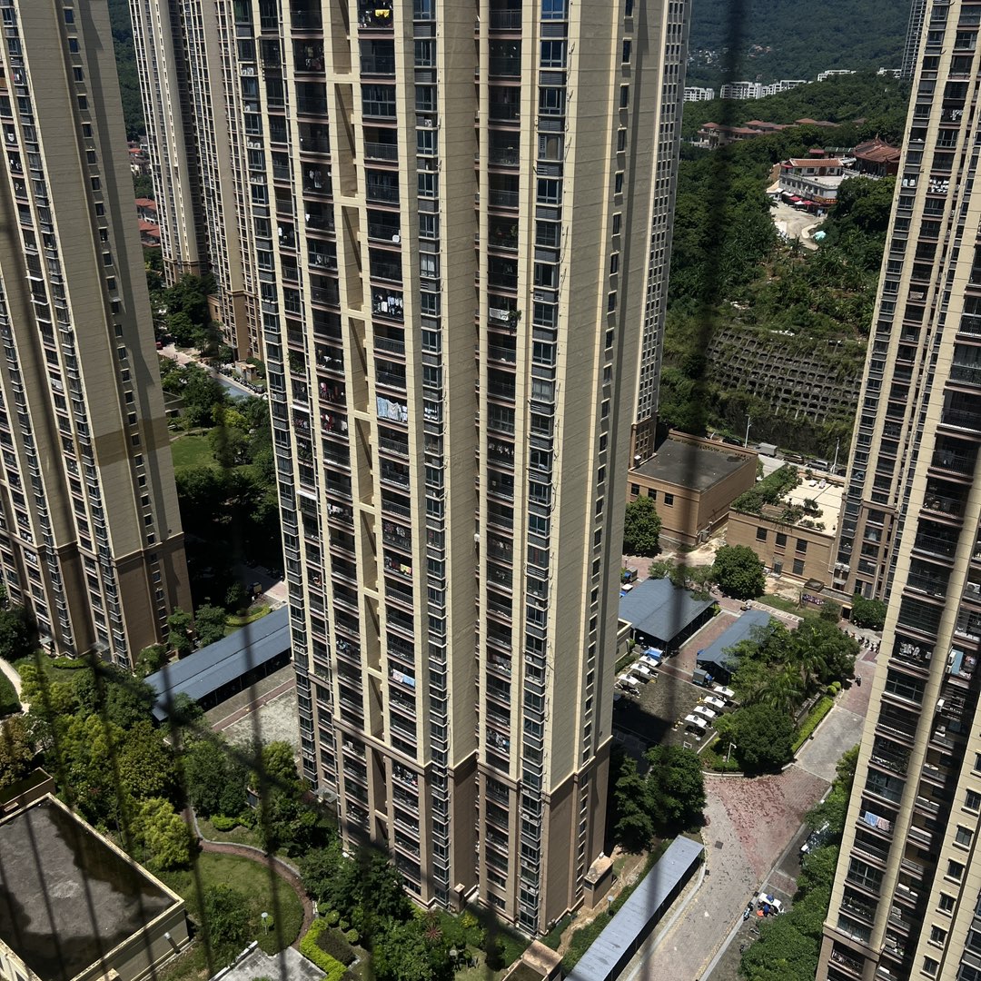 莆鱼集市