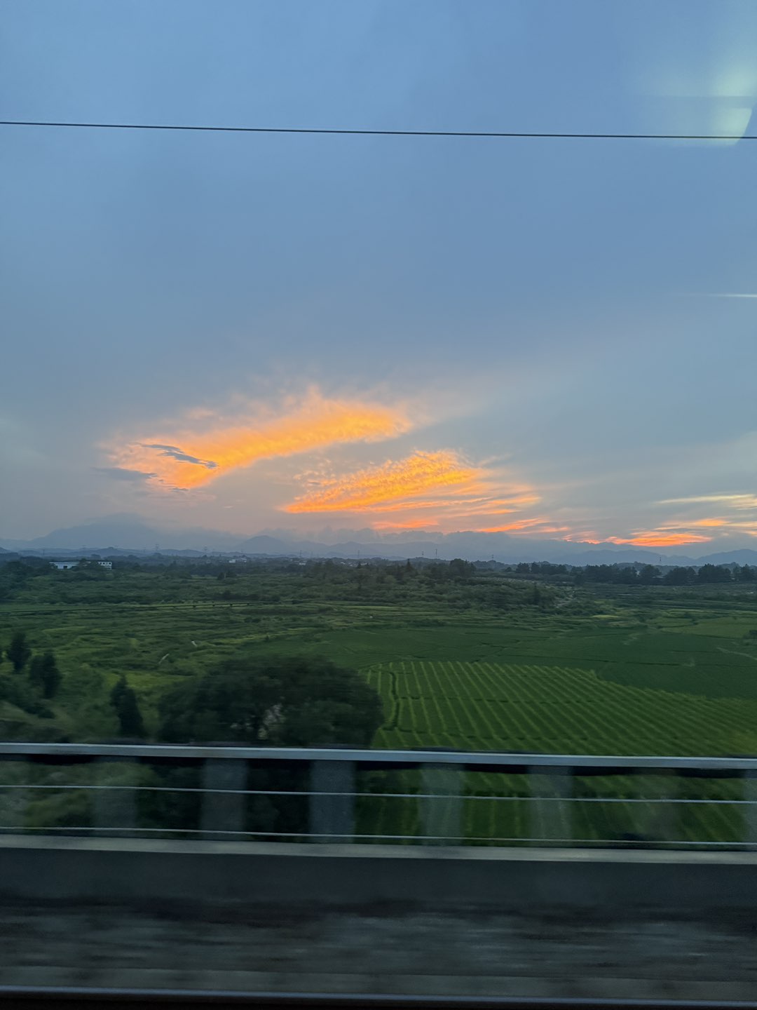 莆鱼集市