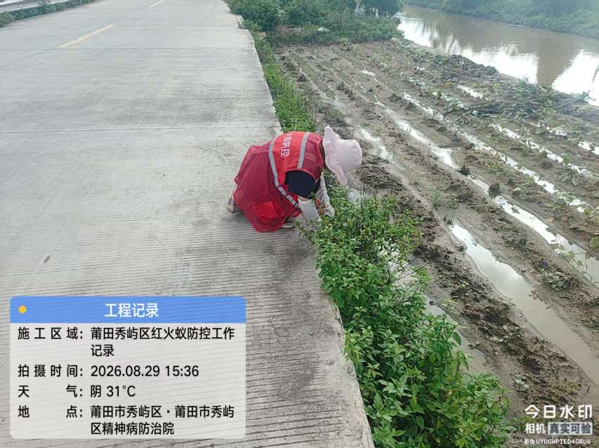 莆鱼集市