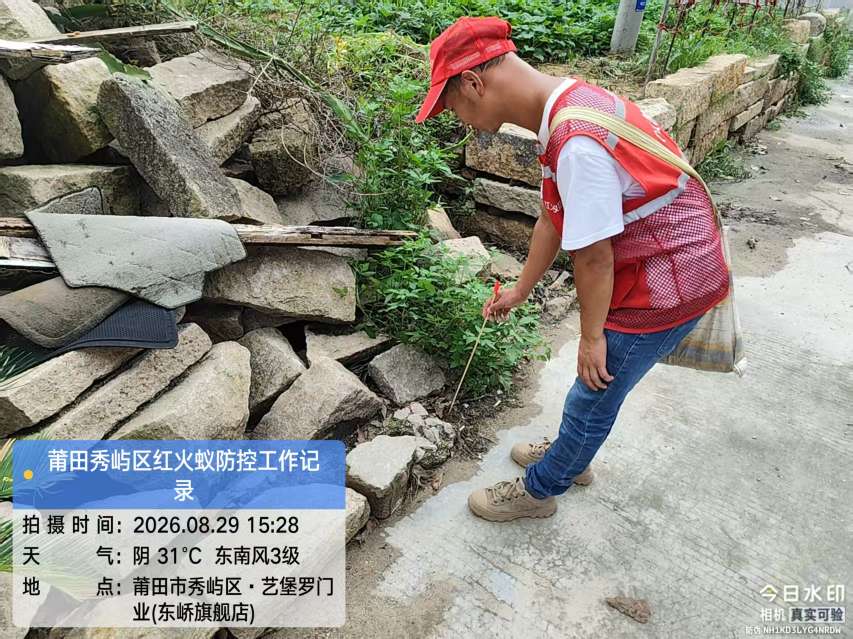 莆鱼集市