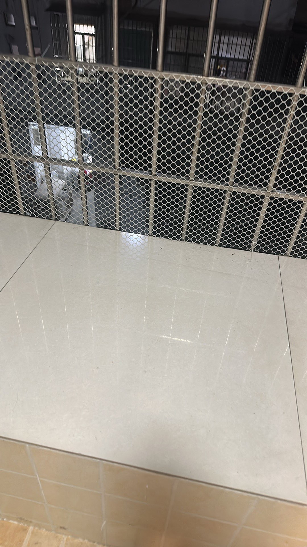 莆鱼集市