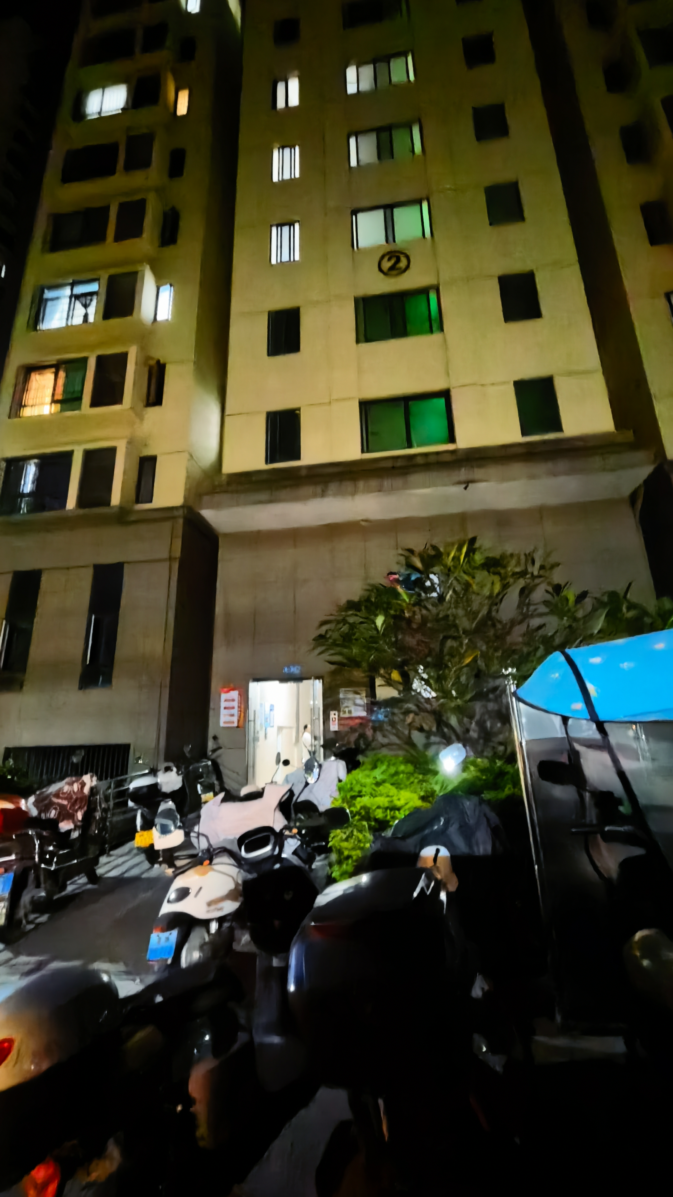 莆鱼集市