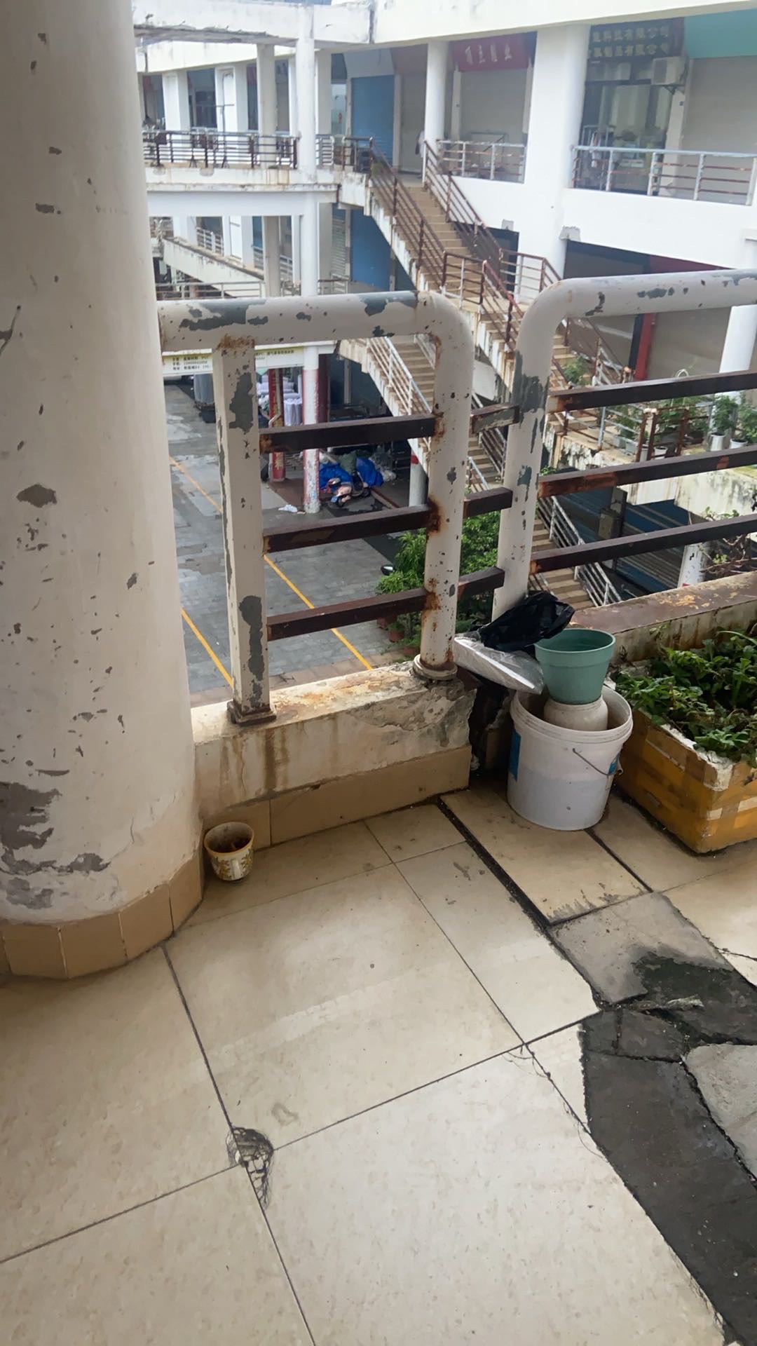 莆鱼集市